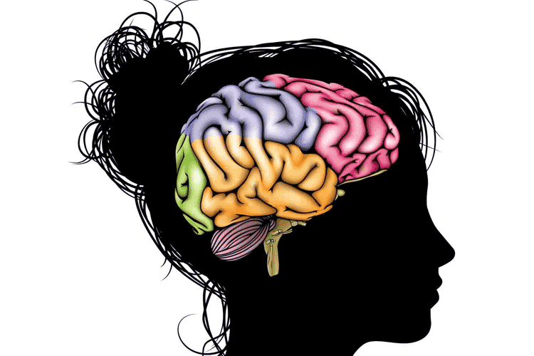 ویژگی های منحصر به فرد مغز انسان